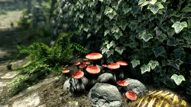 The Elder Scrolls V: Skyrim Legendary Edition preview 4