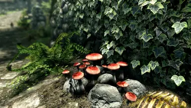 The Elder Scrolls V: Skyrim Special Edition - .COM preview 8