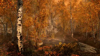 The Elder Scrolls V: Skyrim Special Edition - .COM preview 3