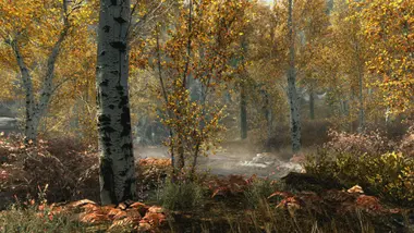 The Elder Scrolls V: Skyrim Special Edition preview 4