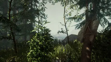 The Forest preview 5