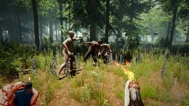 The Forest preview 2