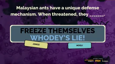 The Jackbox Party Pack 2 preview 17