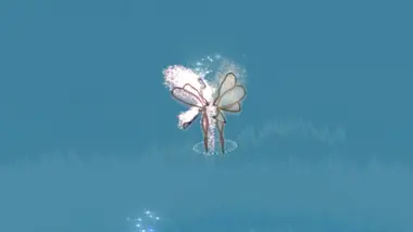 THE TEAR preview 2