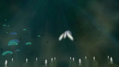 THE TEAR preview 6