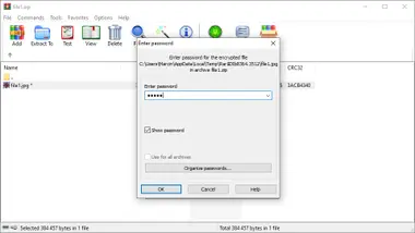The USB Stick Found in the Grass preview 5