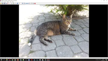 The USB Stick Found in the Grass preview 6