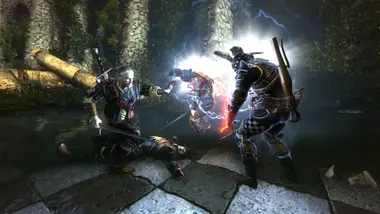 The Witcher 2: Assassins of Kings Enhanced Edition preview 20