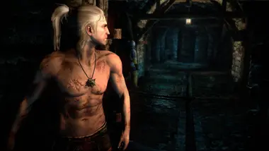 The Witcher 2: Assassins of Kings Enhanced Edition preview 13