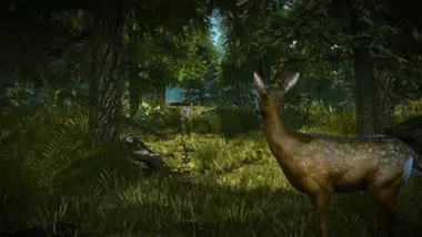 The Witcher 2: Assassins of Kings Enhanced Edition preview 18