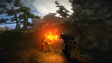 The Witcher 2: Assassins of Kings Enhanced Edition preview 17