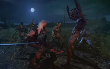 The Witcher: Enhanced Edition Director's Cut preview 9