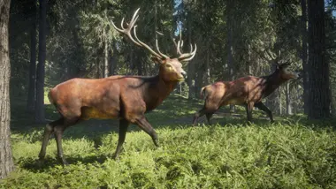 theHunter: Call of the Wild - Greenhorn Bundle preview 12