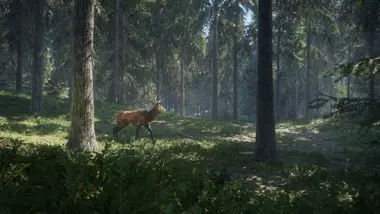 theHunter: Call of the Wild - Master Hunter Bundle preview 10