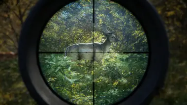 theHunter: Call of the Wild - Master Hunter Bundle preview 3