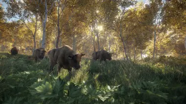 theHunter: Call of the Wild preview 14