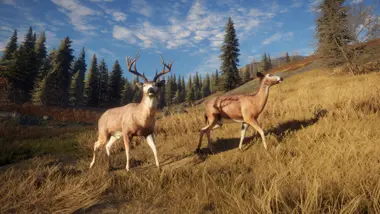 theHunter: Call of the Wild - Seasoned Hunter Bundle preview 16