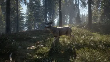 theHunter: Call of the Wild - Seasoned Hunter Bundle preview 4