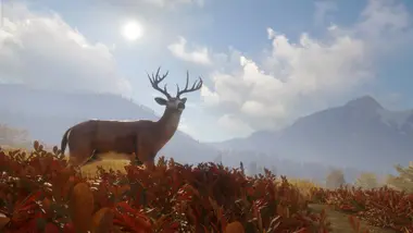 theHunter: Call of the Wild - Seasoned Hunter Bundle preview 22