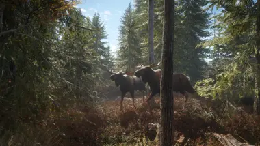 theHunter: Call of the Wild - Seasoned Hunter Bundle preview 2