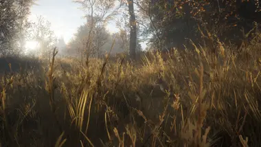 theHunter: Call of the Wild - Starter Bundle preview 6