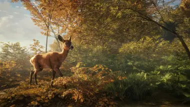 theHunter: Call of the Wild - Starter Bundle preview 11