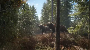 theHunter: Call of the Wild - Starter Bundle preview 24