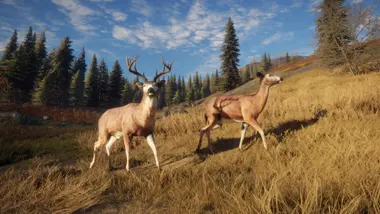 theHunter: Call of the Wild - Starter Bundle preview 9