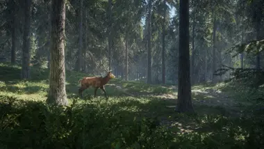 theHunter: Call of the Wild - Live - UNITED STATES preview 8