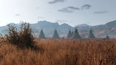 This Land Is My Land preview 25