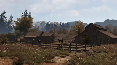 This Land Is My Land preview 8