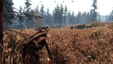 This Land Is My Land preview 10