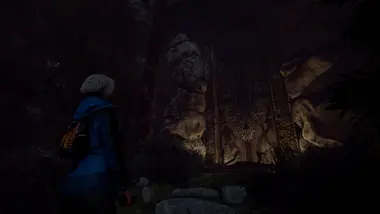 Through the Woods preview 8