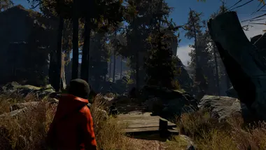 Through the Woods preview 2