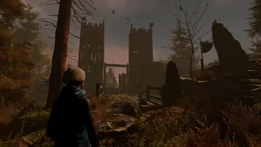 Through the Woods - Live preview 6