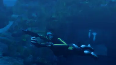 Tomb Raider: Underworld preview 19