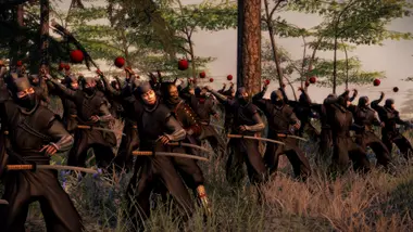 Total War: Shogun 2 - Fall of the Samurai Collection preview 11