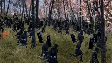 Total War: SHOGUN 2 Collection preview 57