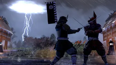 Total War: SHOGUN 2 Collection preview 55