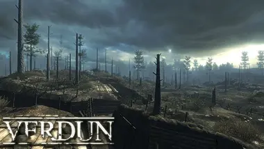 Verdun preview 4