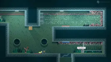 VINE preview 13