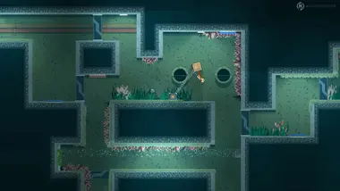 VINE preview 12