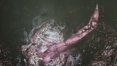 Vorax preview 7