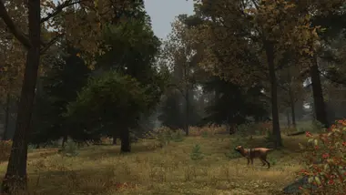 Walden, a game preview 5