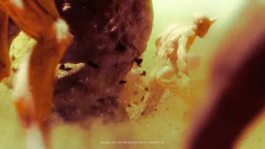 Warhammer 40,000: Chaos Gate - Daemonhunters preview 5