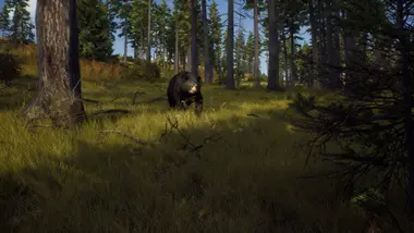 Way of the Hunter | Elite Edition preview 8
