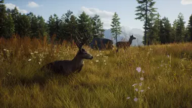 Way of the Hunter | Elite Edition preview 12