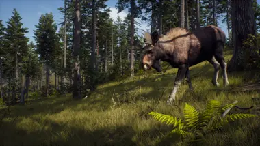 Way of the Hunter | Elite Edition preview 10
