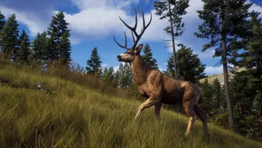 Way of the Hunter | Elite Edition preview 6