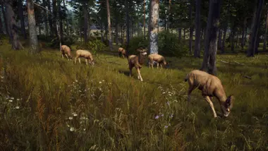 Way of the Hunter preview 2